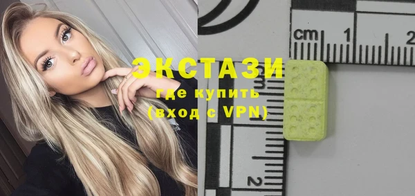 шишки Инсар