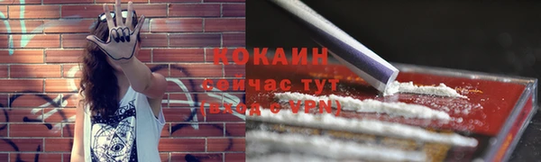 дживик Зерноград