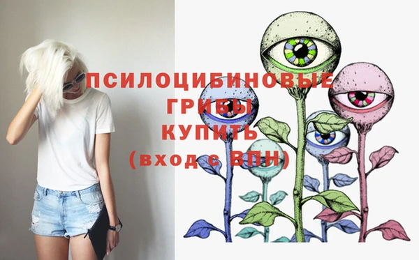герыч Зеленодольск