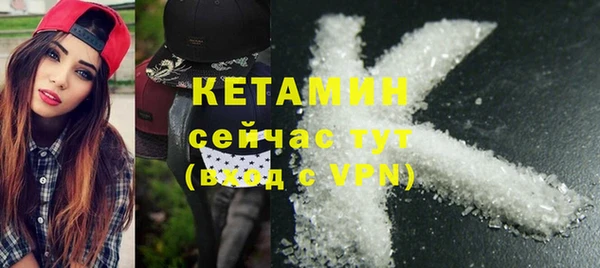 сатива Инта