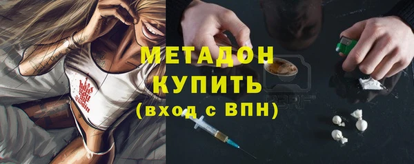 шишки Инсар