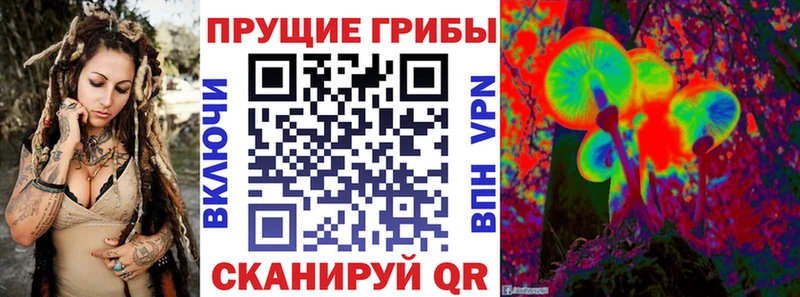 Псилоцибиновые грибы MAGIC MUSHROOMS Купить где Донской
